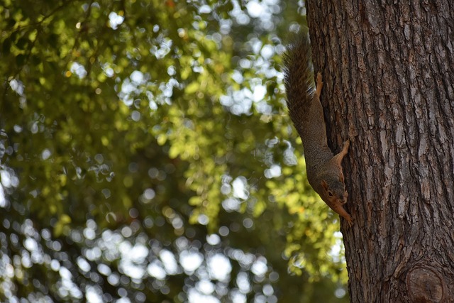 队的攻击浪 队的攻击浪