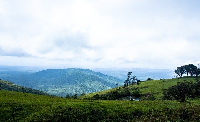 发设备和技 发设备和技