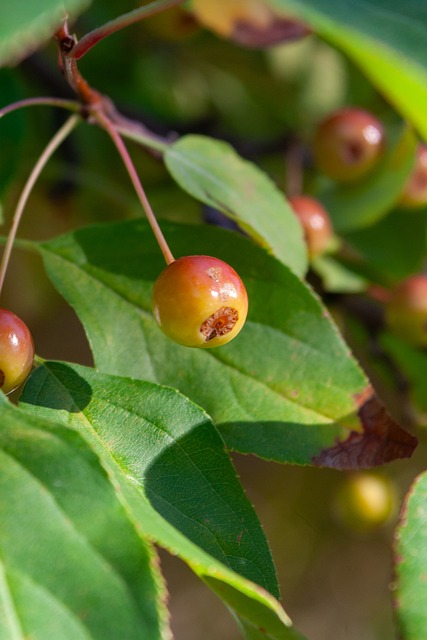 的重要一环 的重要一环