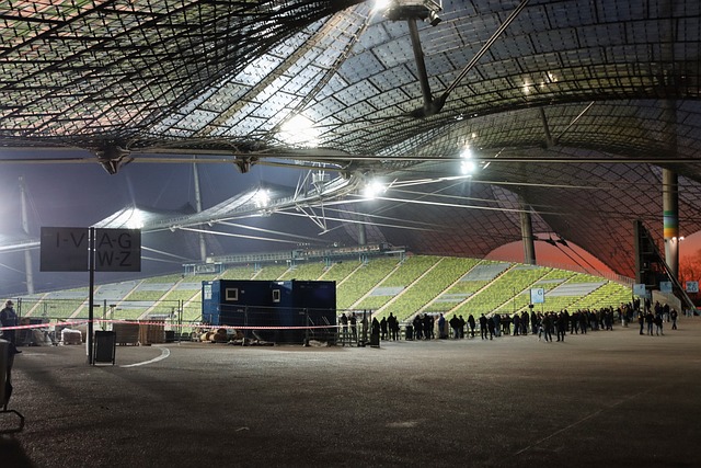 明星球员的 明星球员的