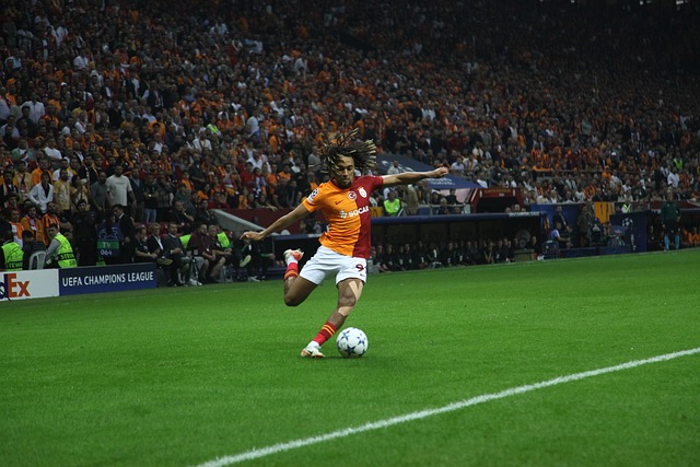 是她不断进 是她不断进