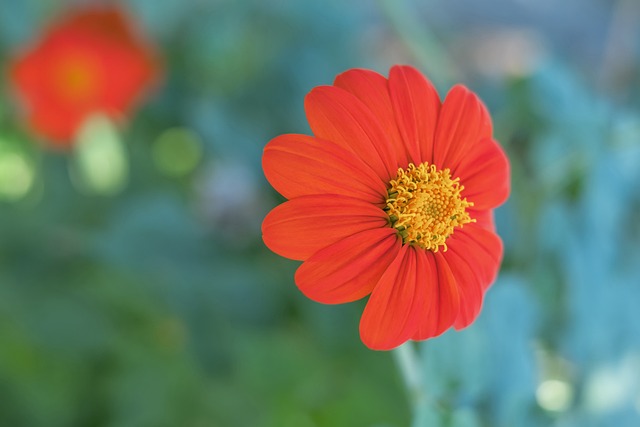 唯有坚韧和 唯有坚韧和