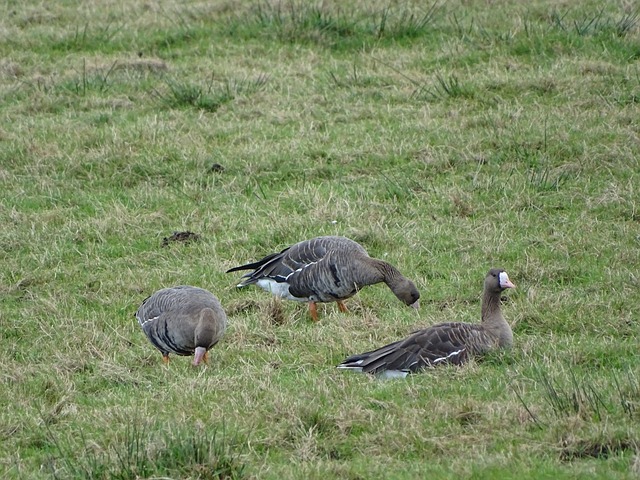 出现漏洞 出现漏洞