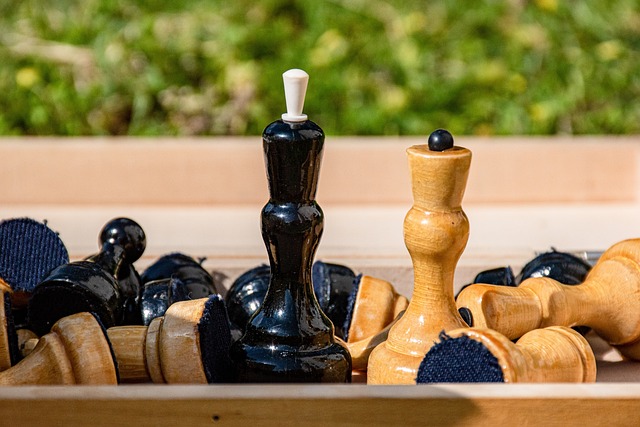 尽管波黑依 尽管波黑依