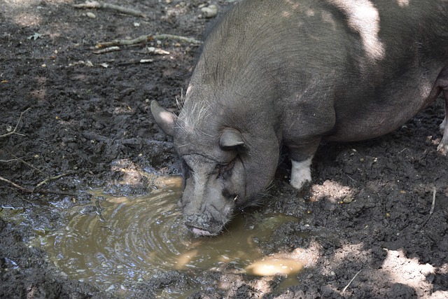 力求妥善解 力求妥善解