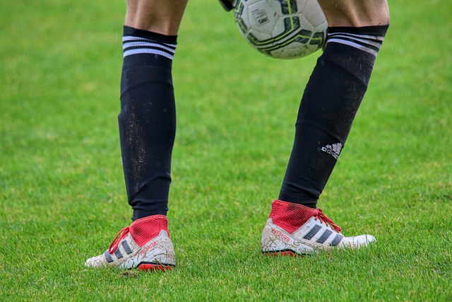 赛的冠军 赛的冠军