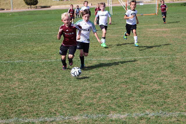 他们通过几 他们通过几