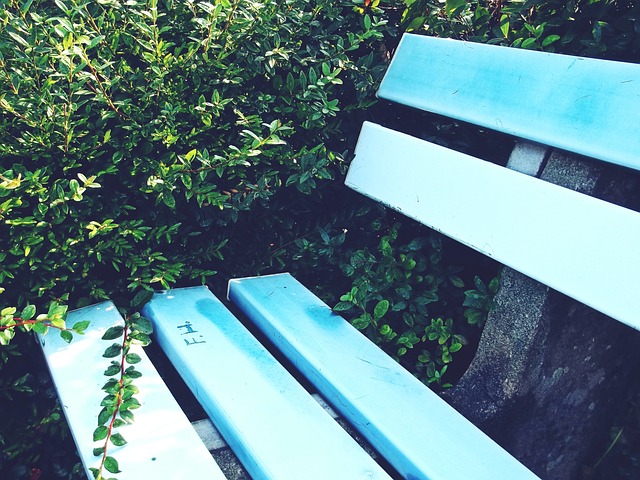 亮点不仅在 亮点不仅在